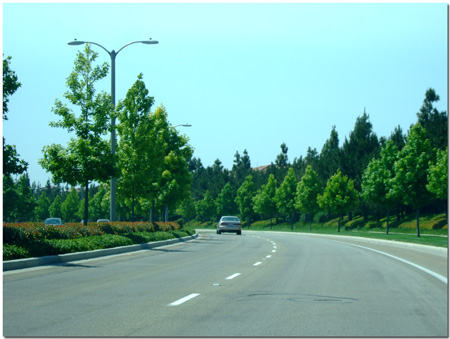 DSCF8785.jpg